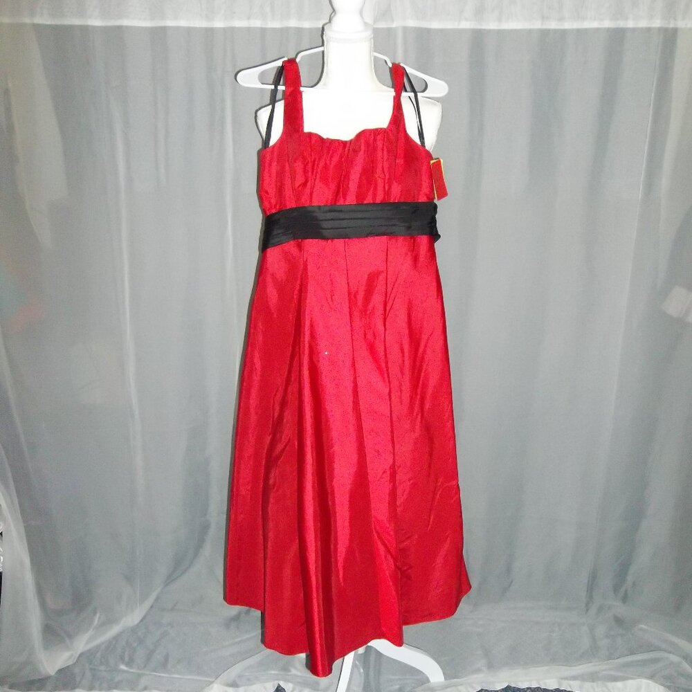 Bari Jay Prom Dress Size 10